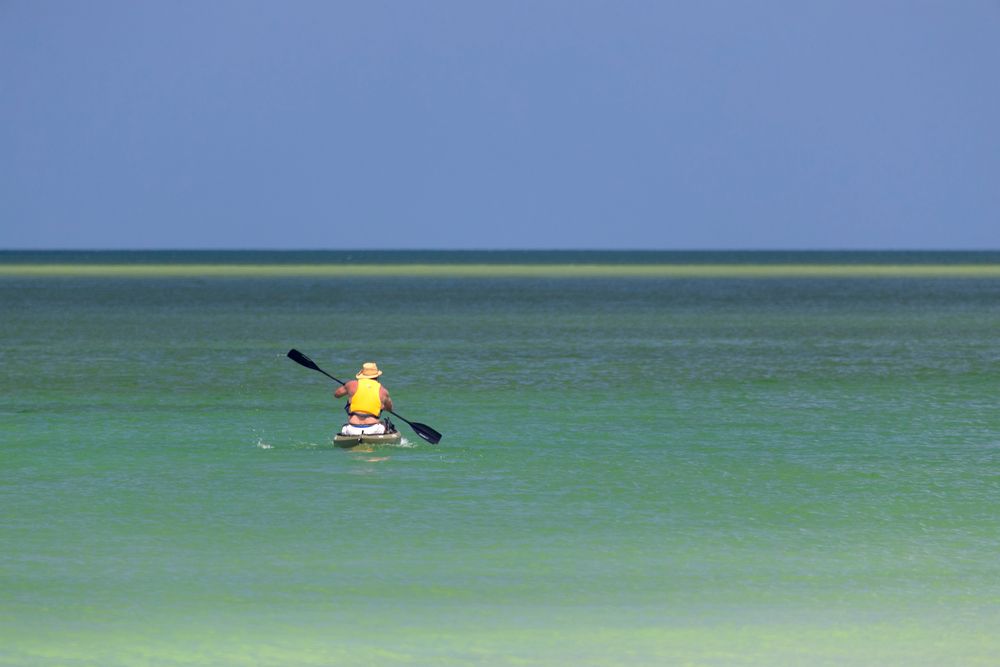 Kayaking in Siesta Key beach