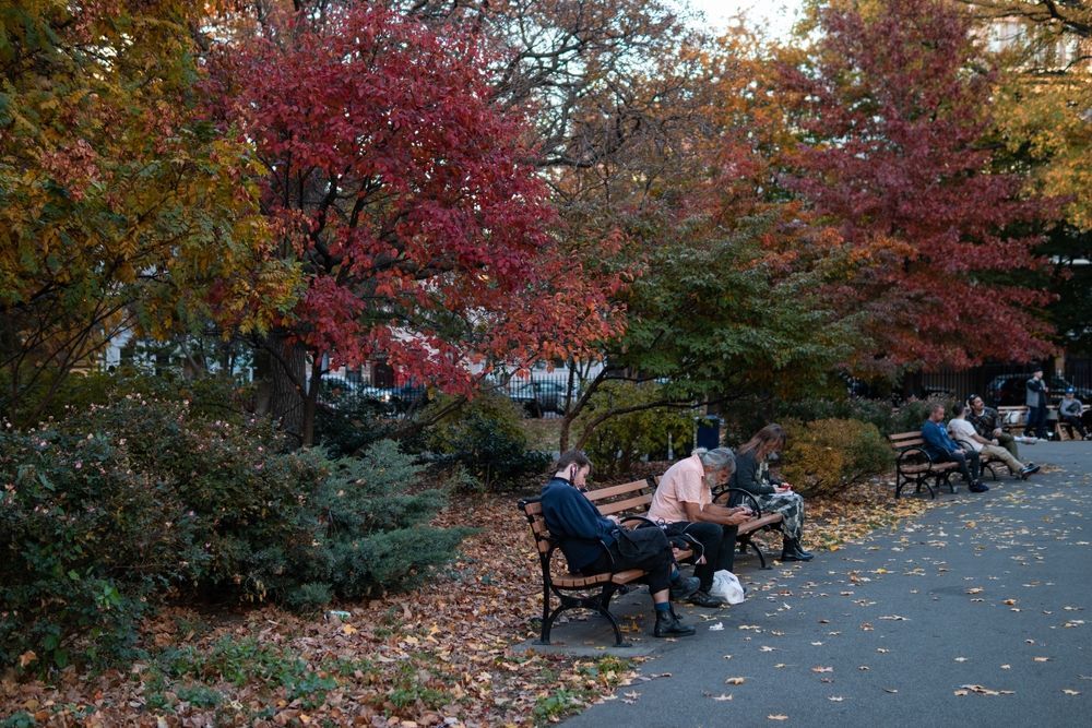 Wooden benches along McCarren Park