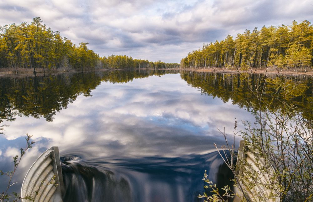 The calm waters of Wharton State Forest