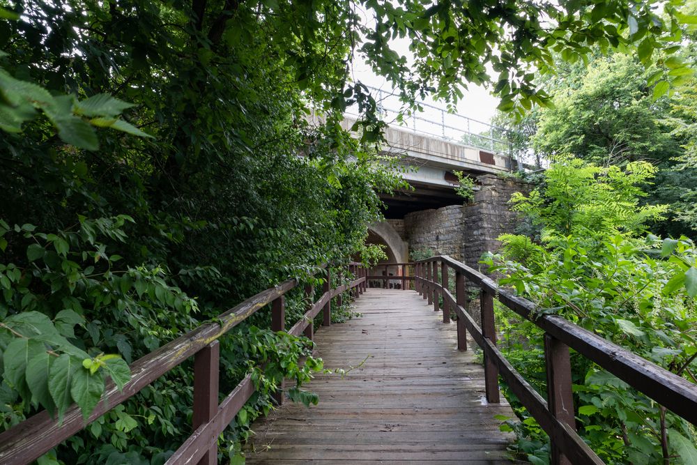 Trail at Dellwood Park
