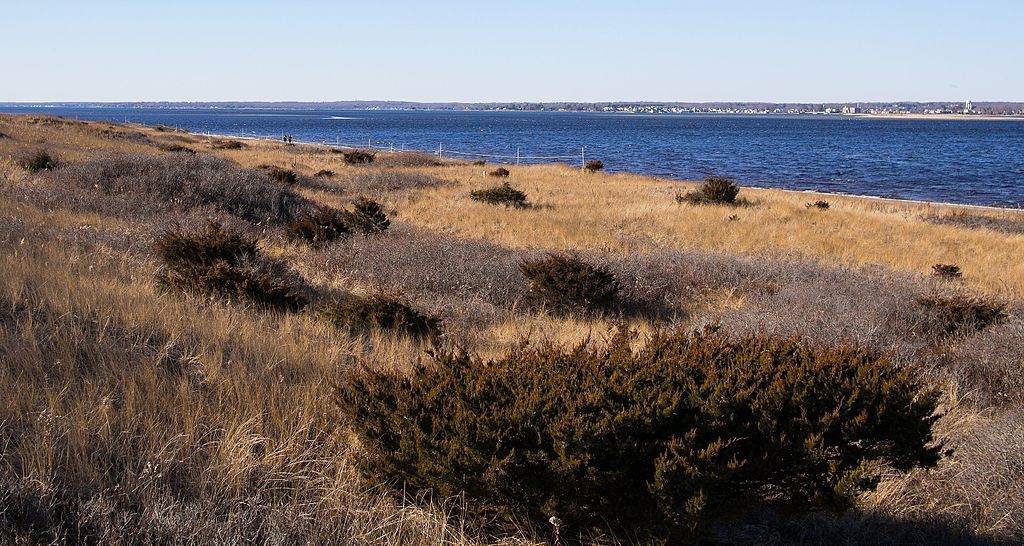 Daytime view of Napatree Point Conservation Area