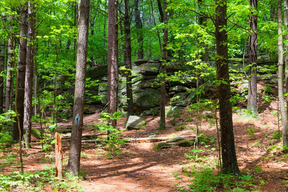 Trail at Purgatory Chasm State Reservation