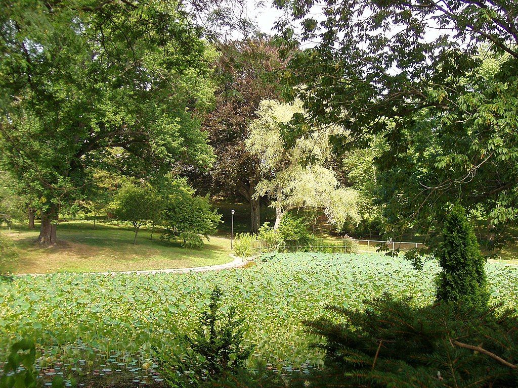 A pond at Wilcox Park