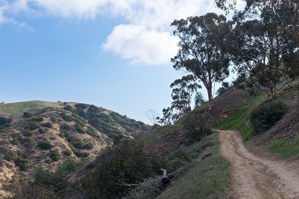 Hills at Hellman Park Trailhead