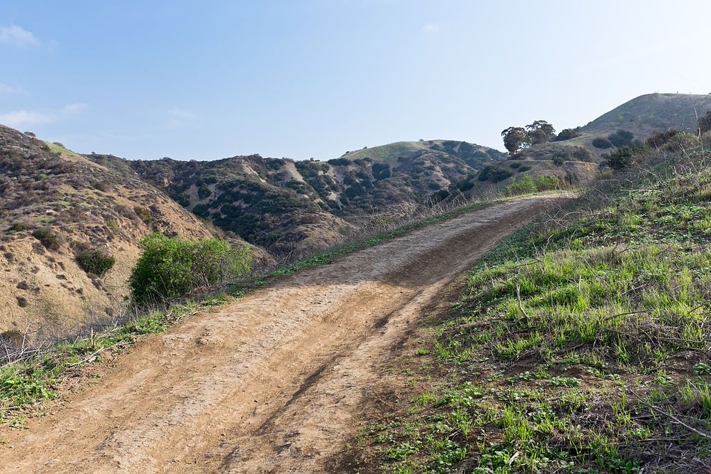 Trail at Hellman Park Trailhead