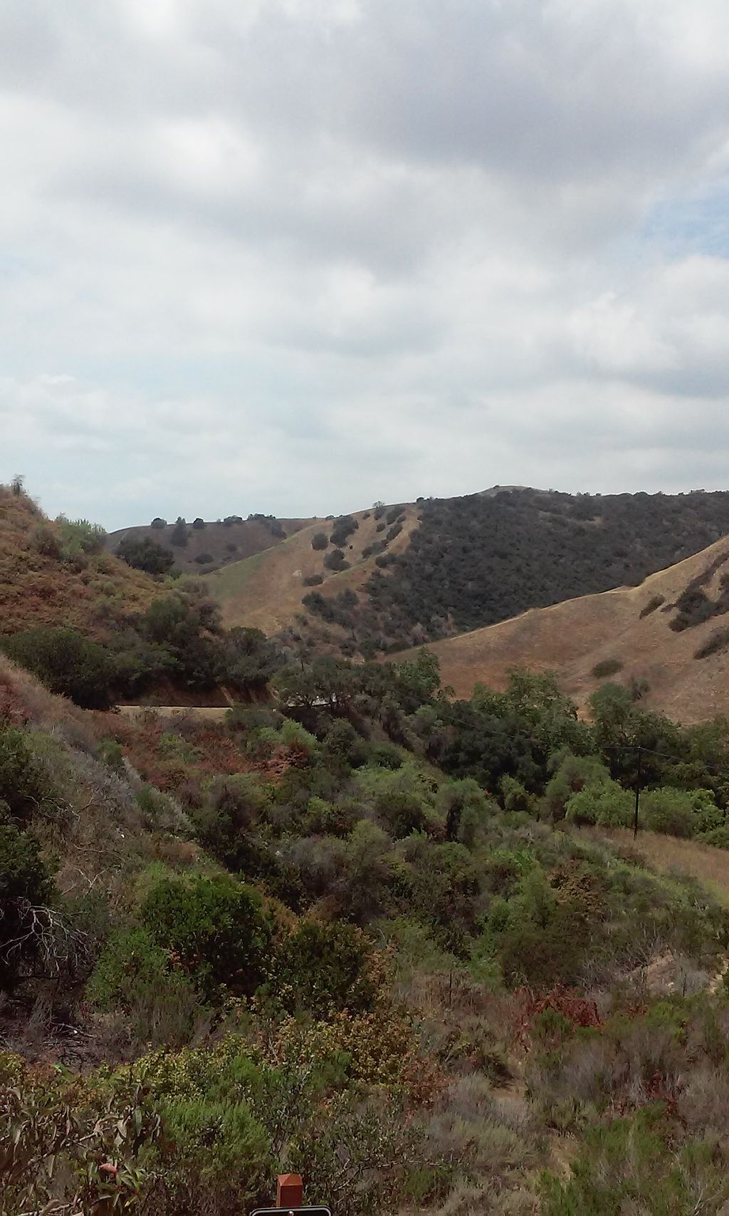 Trail at Turnbull Canyon