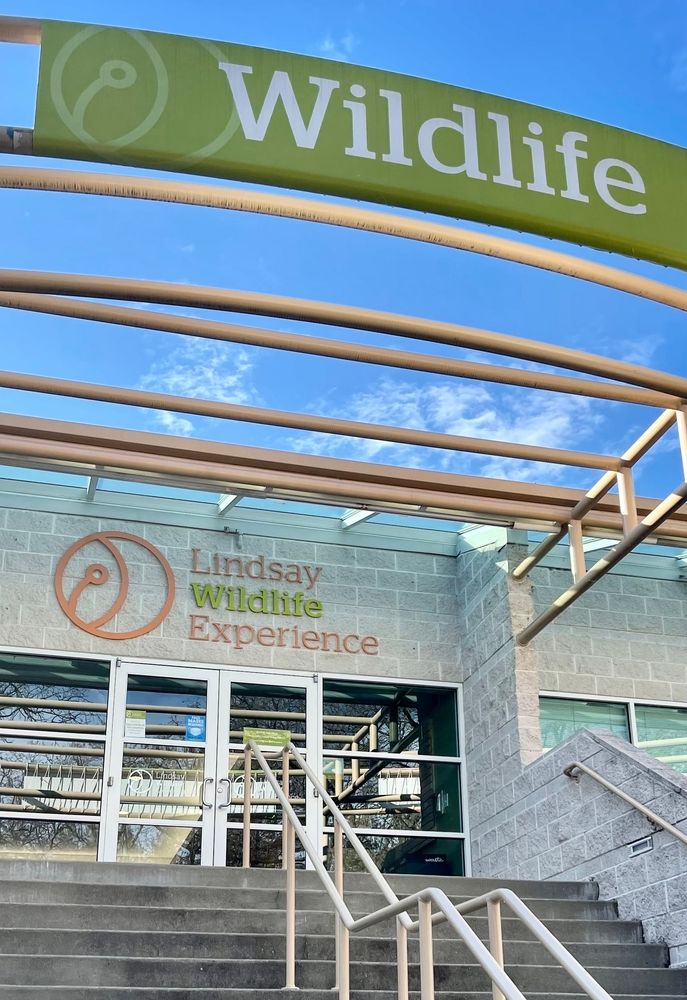 Entrance to the Lindsay Wildlife Experience