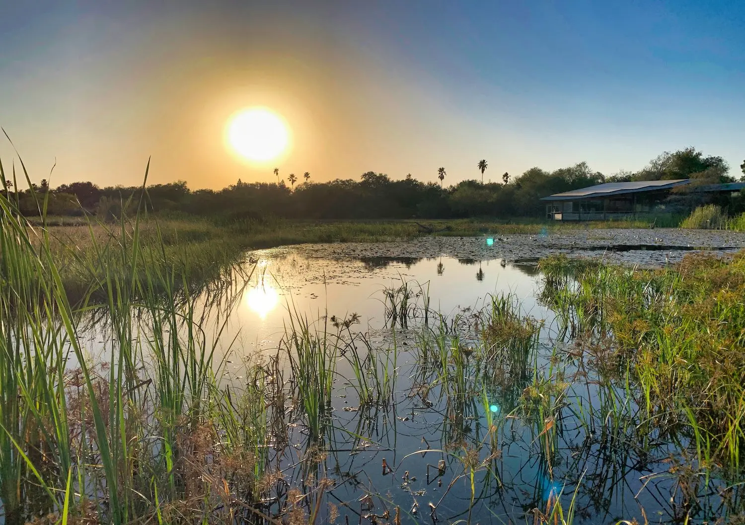 15 Best Things to Do in Weslaco, TX