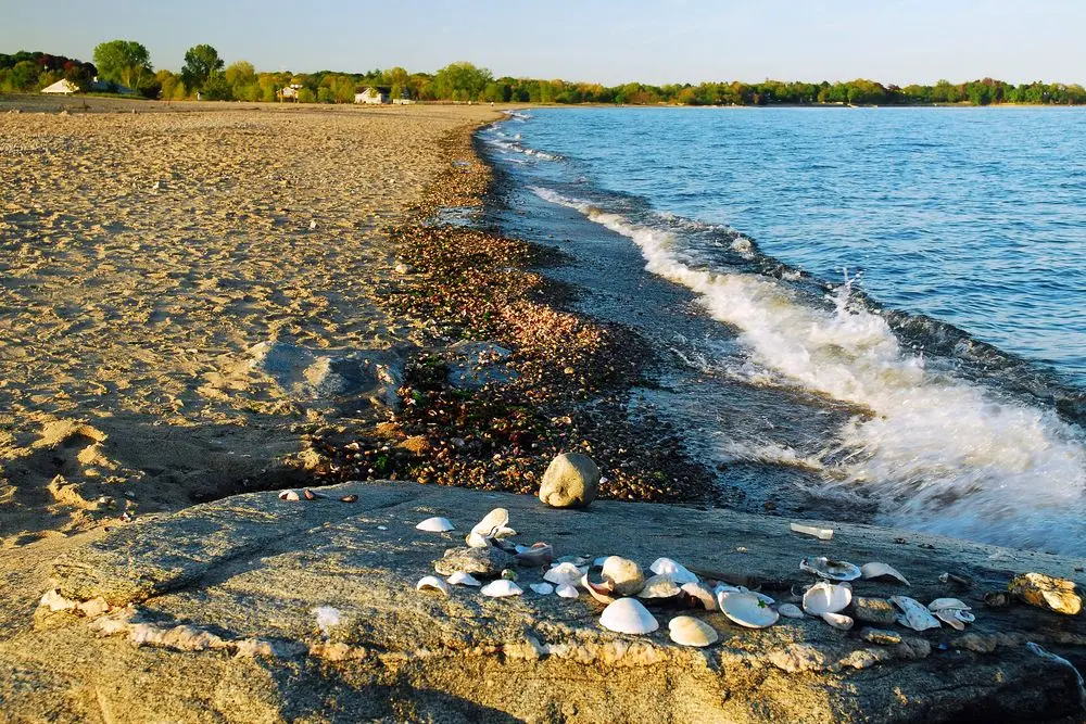 20 Best Things to Do in Westport, CT