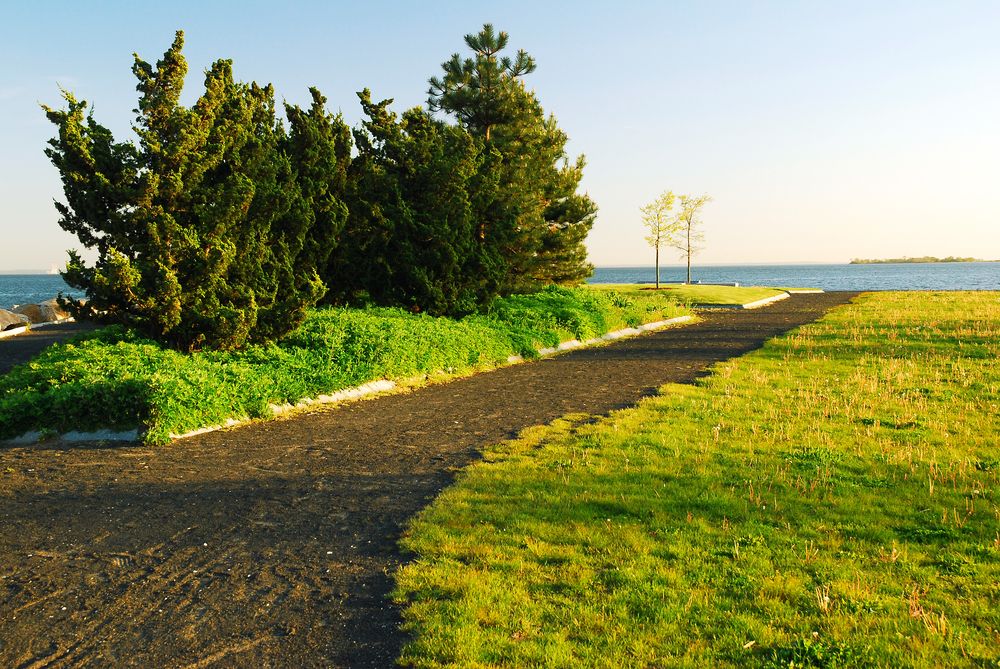 A foot path at sherwood island.