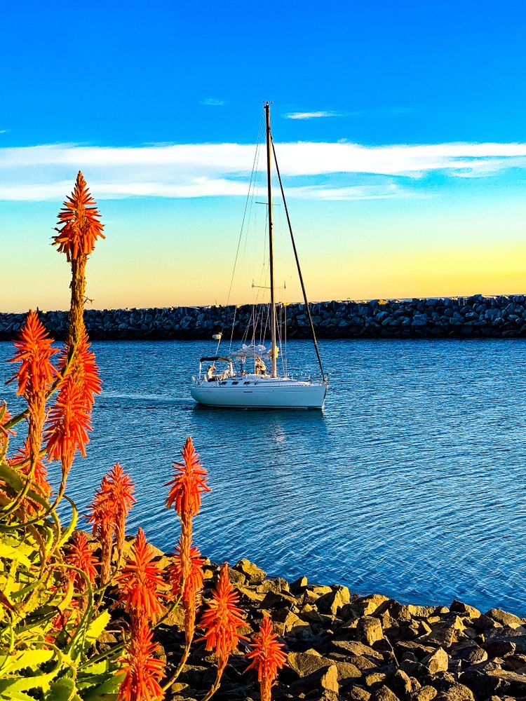 View of Dana Point Harbor