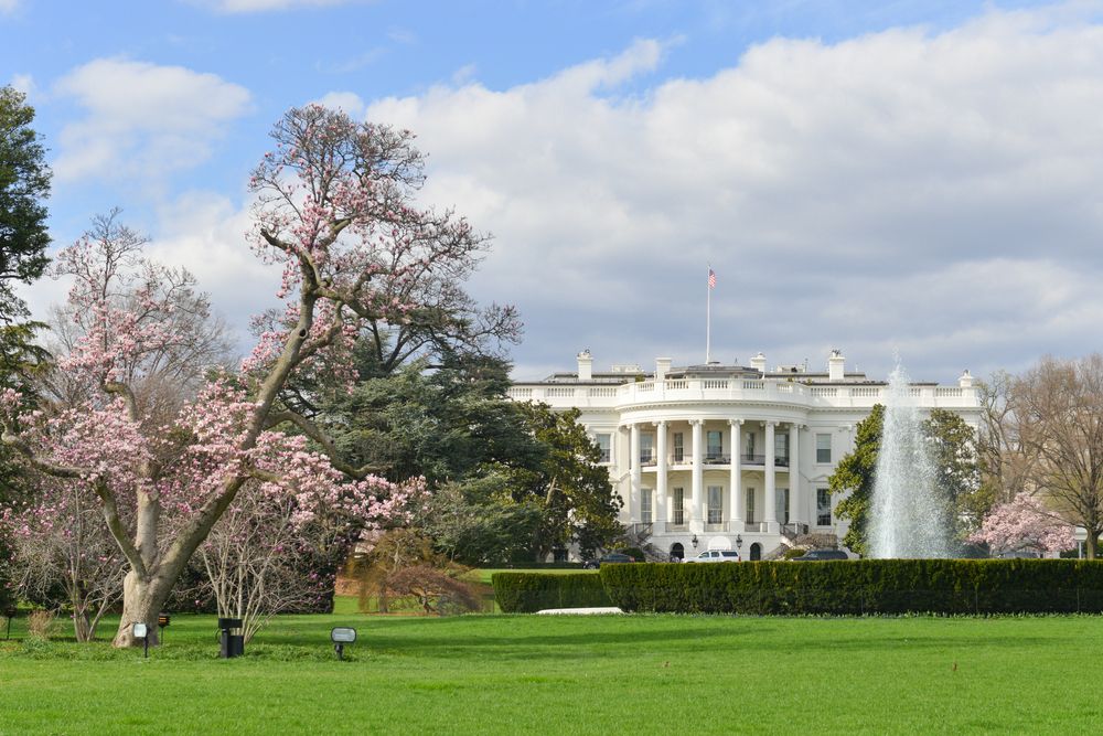 White House in Annandale, VA