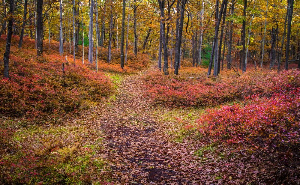 View of Huron County Nature Center and Wilderness Arboretum
