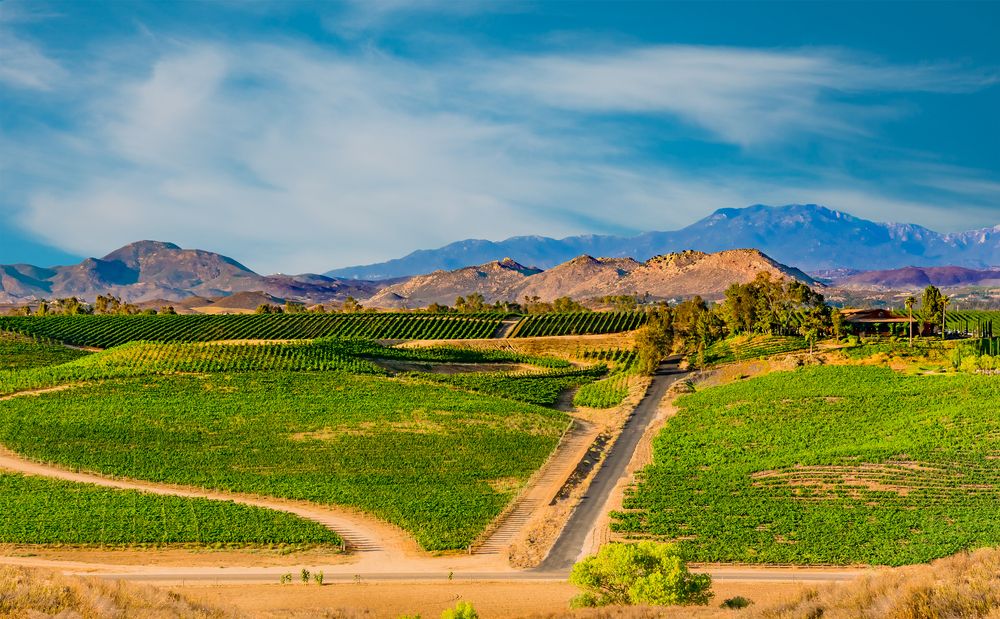 View of Temecula Valley Wine Country