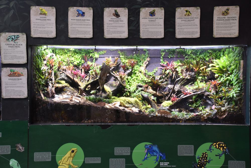 Exhibit in Loveland Living Planet Aquarium