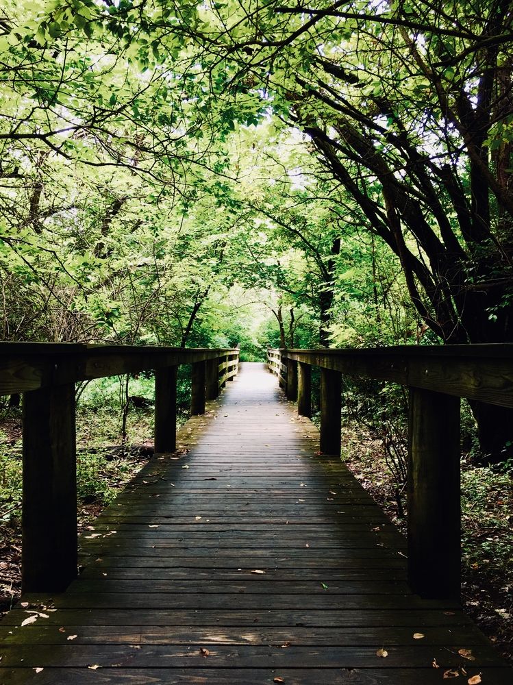 Wooden bridge trail at Chisholm Creek Park