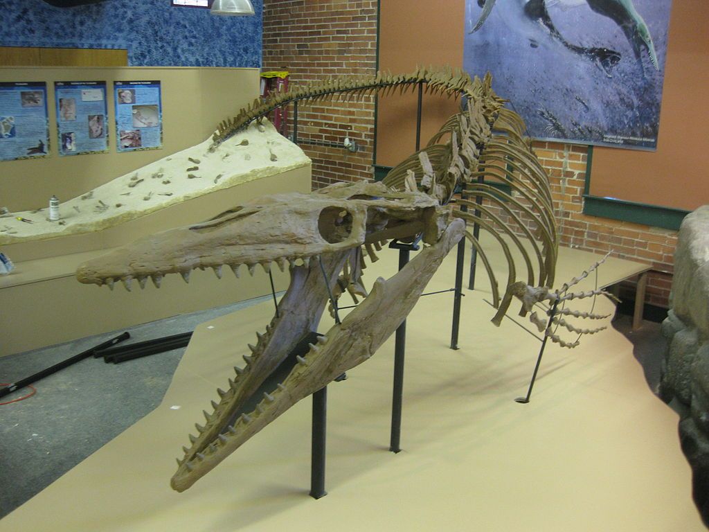 Dinosaur skeleton in the Museum of World Treasures