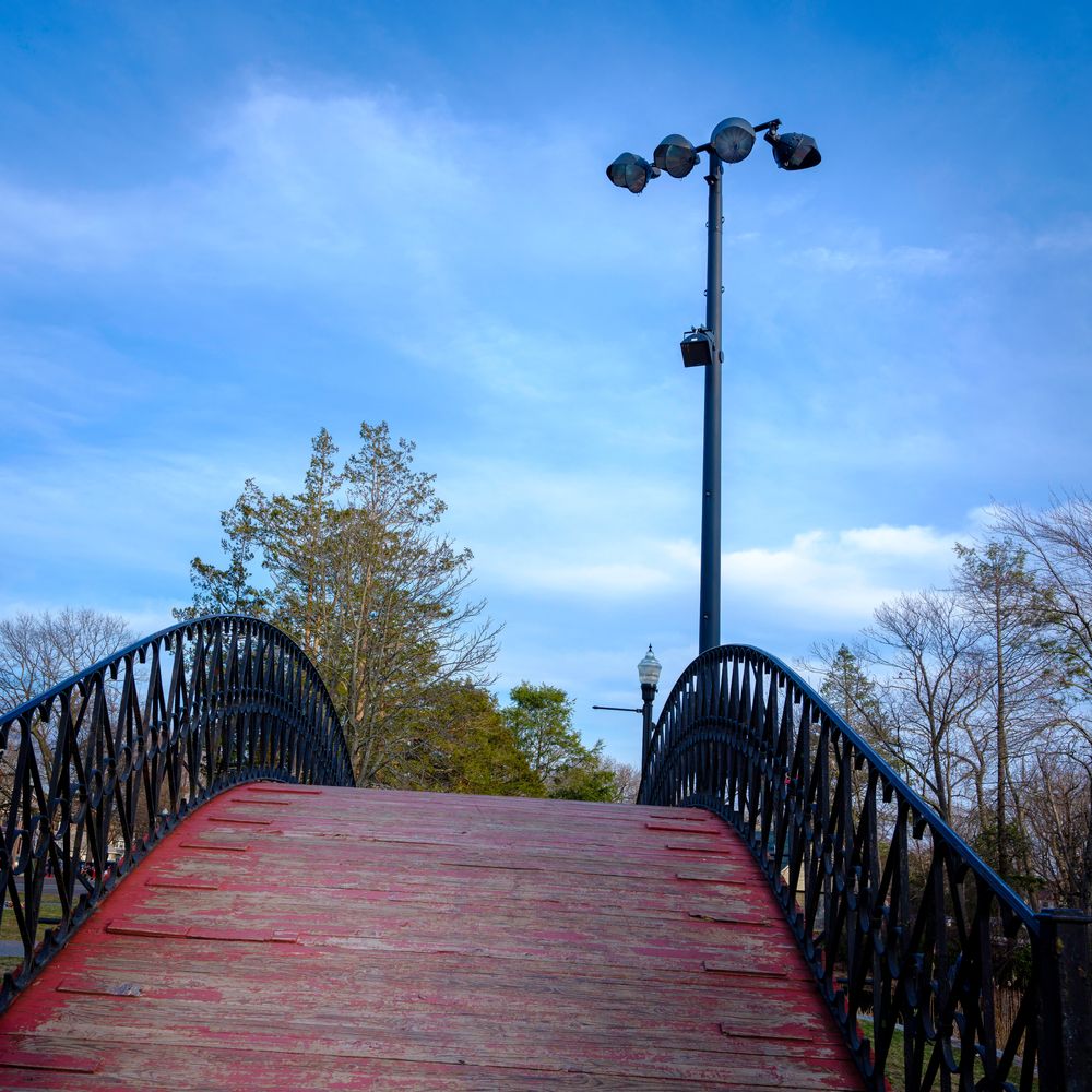 Wooden footbridge over the waters of Elm Park