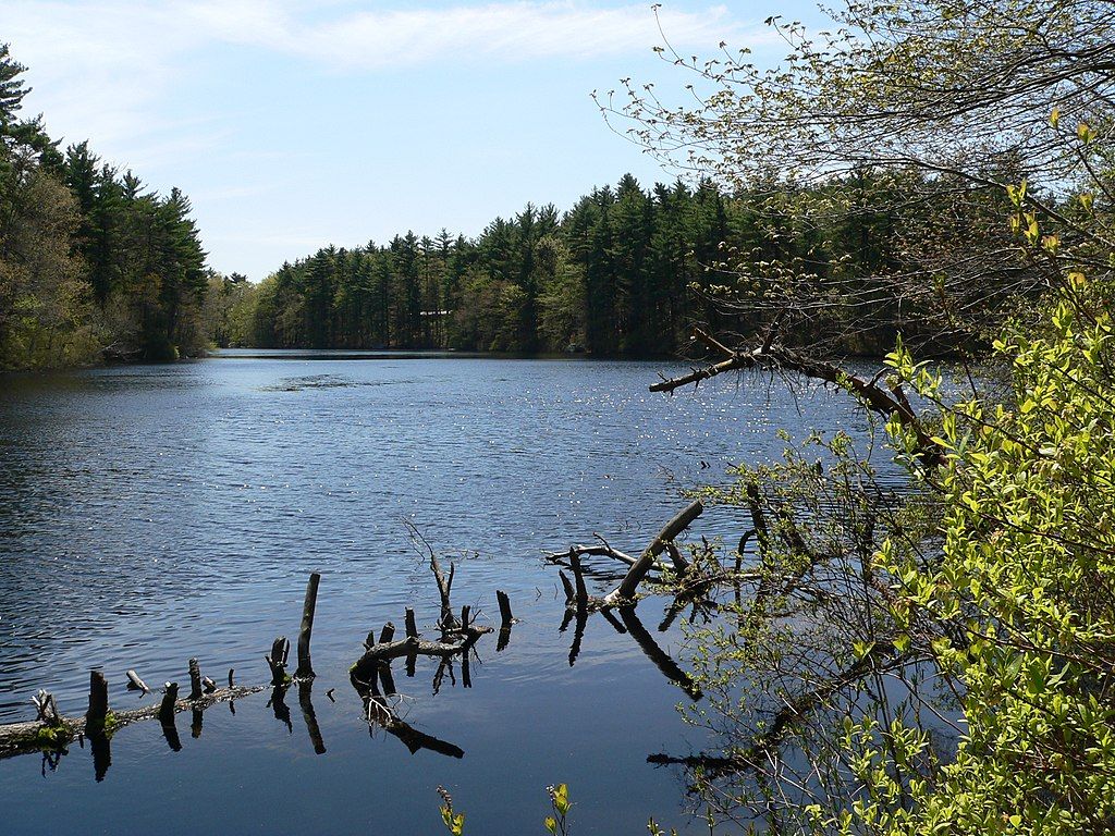 Sunset lake at F. Gilbert Hills State Forest