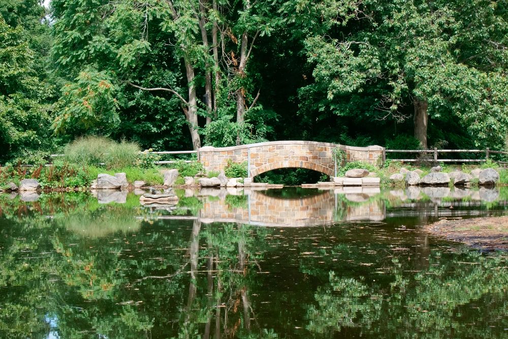Stone bridge over a pond at Francis William Bird Park