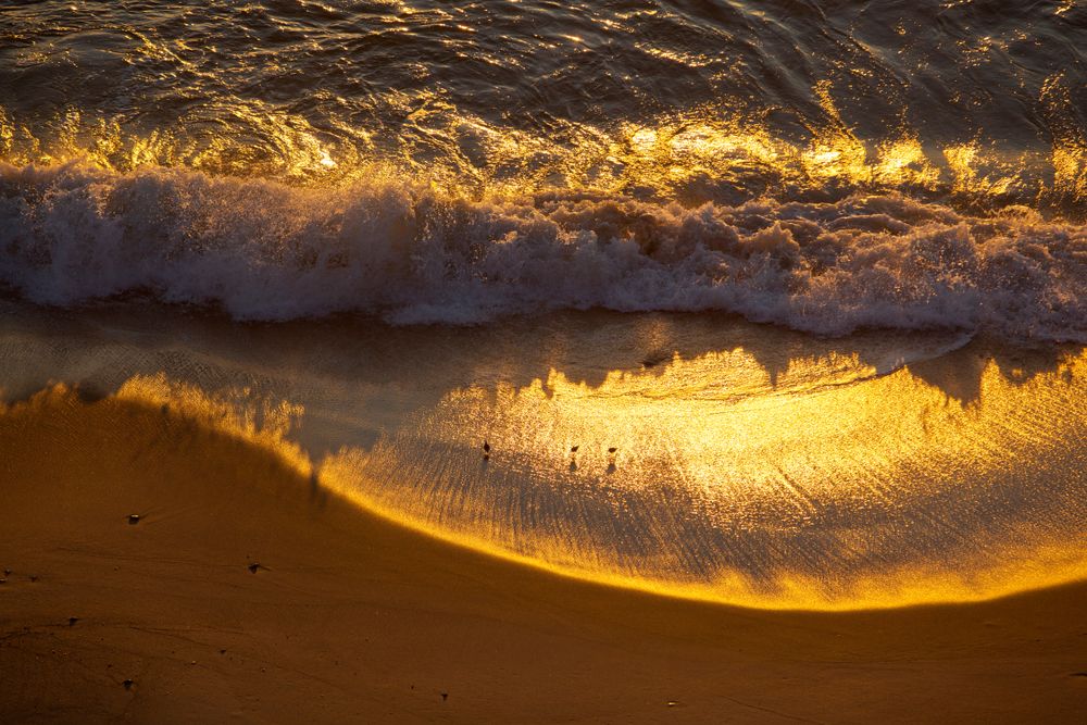 Beach waves at Marconi Beach