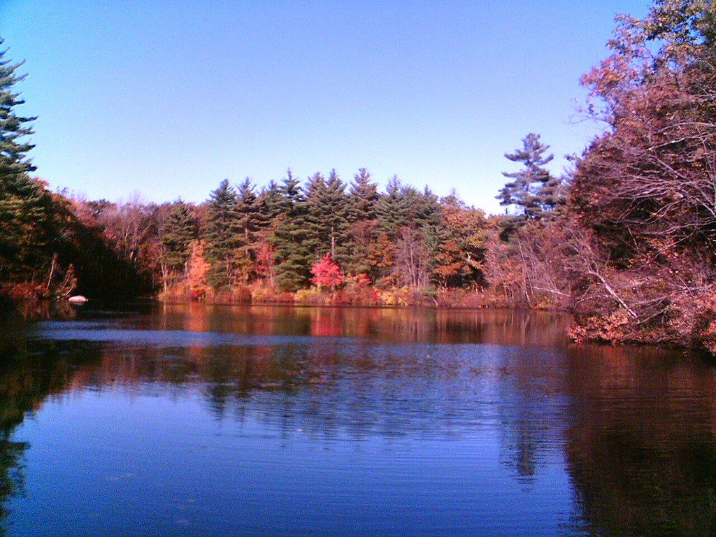 The waters of Rocky Woods
