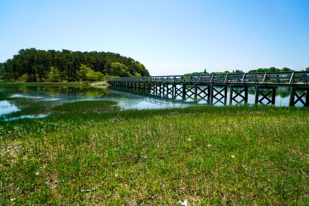 Structure of Uncle Tim’s Bridge