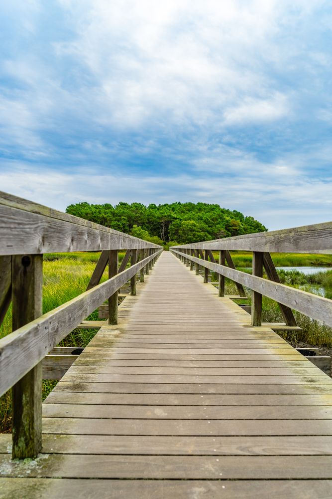 Daytime view of Uncle Tim’s Bridge