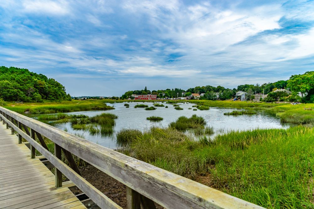 View of a marsh from Uncle Tim’s Bridge