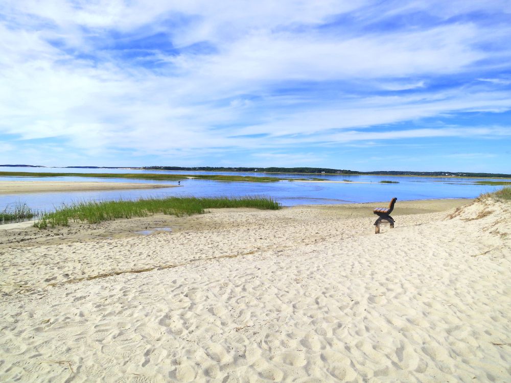 Sand dunes at Wellfleet Bay Wildlife Sanctuary