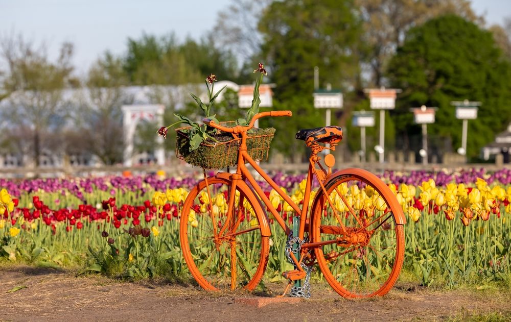 A bicycle at Windmill Island Gardens