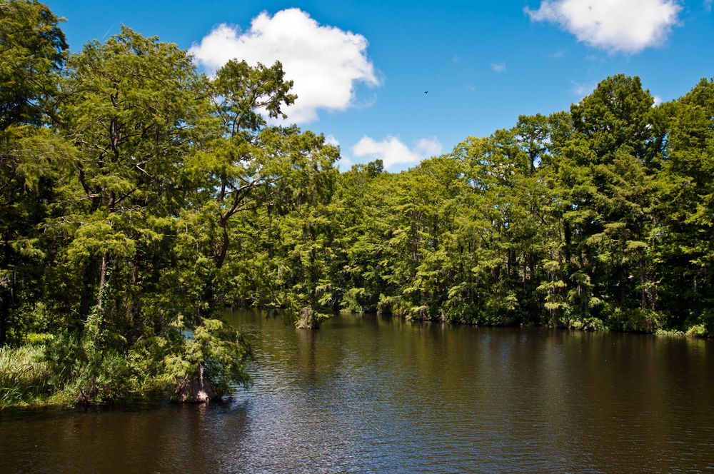 The waters of Greenfield Park