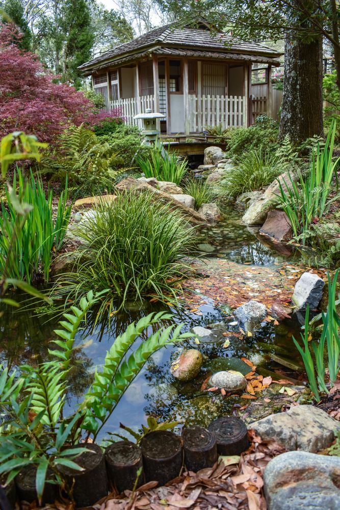 Scenic view of New Hanover County Arboretum