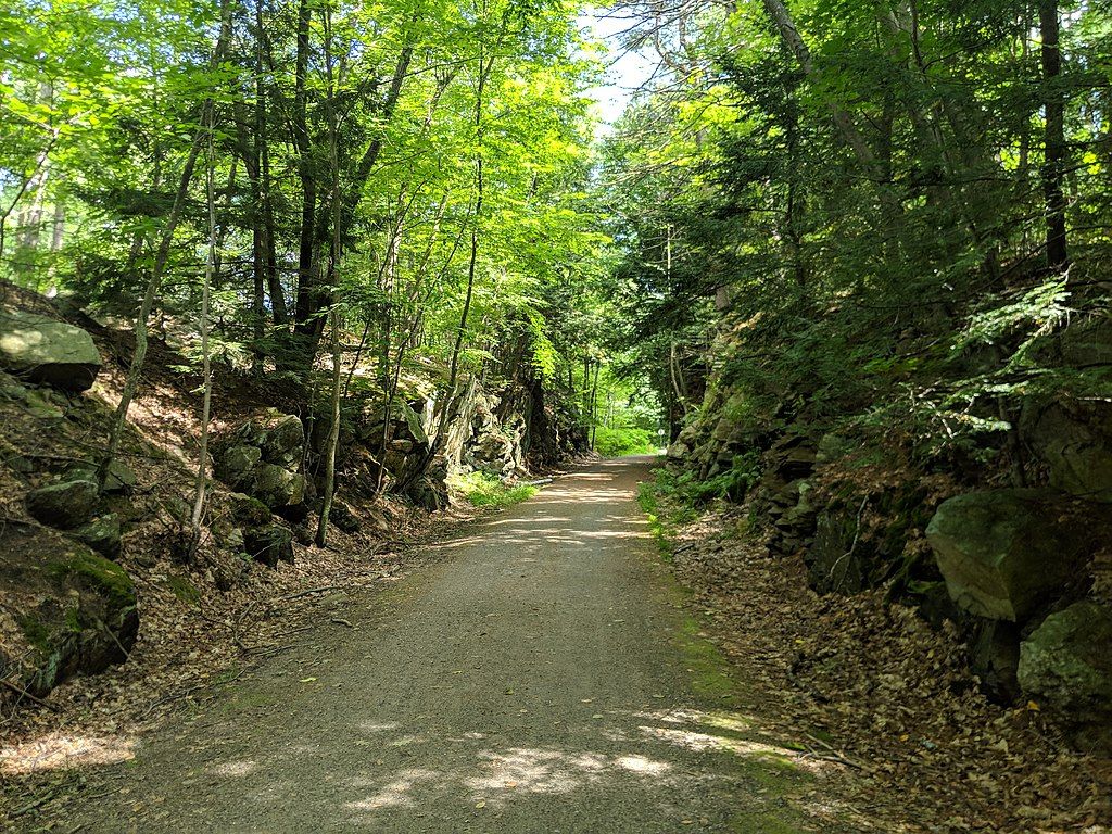 Daytime view of Goffstown Rail Trail