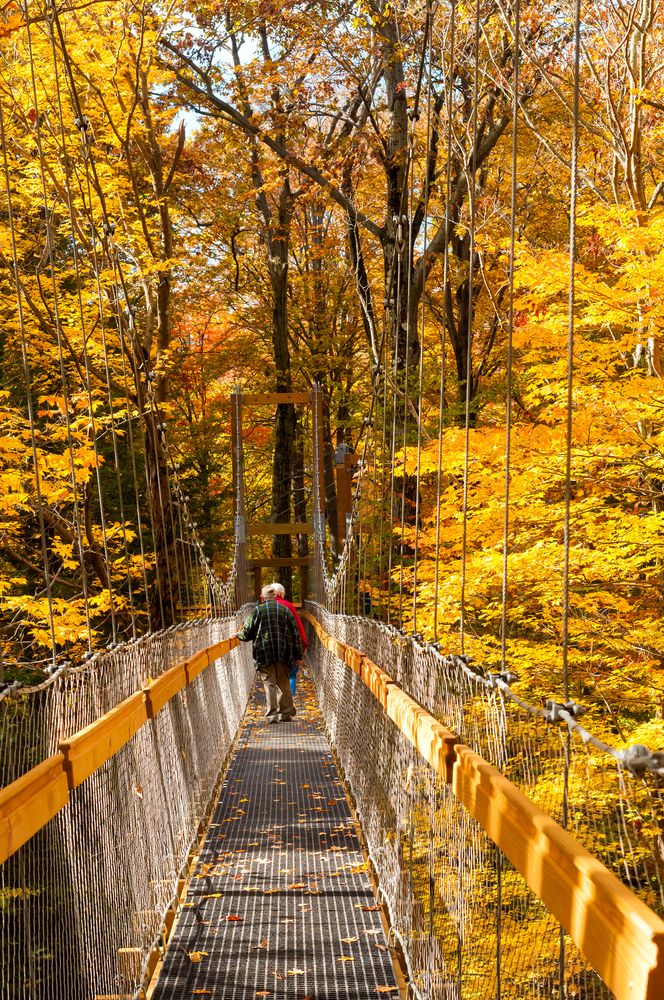 Murch canopy walk at Holden Arboretum