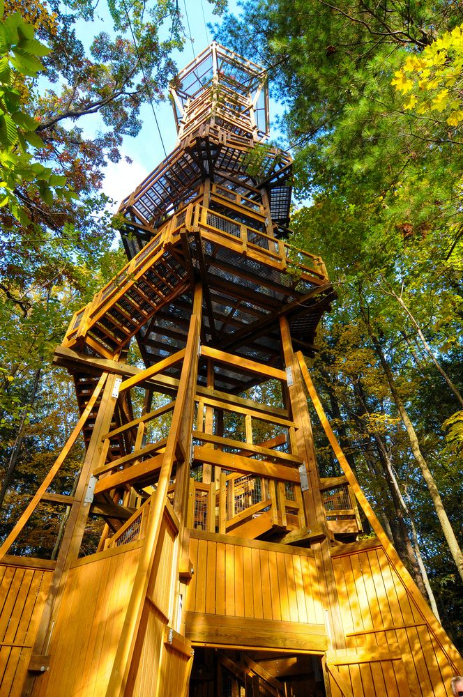 Observation tower at Holden Arboretum