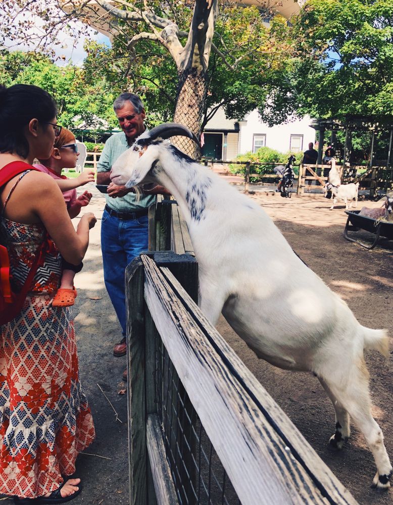 A woman holding a child while feeding a goat.