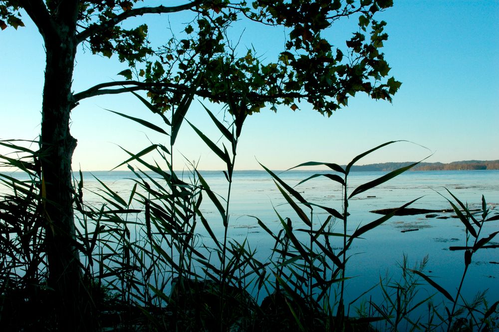 Blue sky reflection in Occoquan Bay National Wildlife Refuge