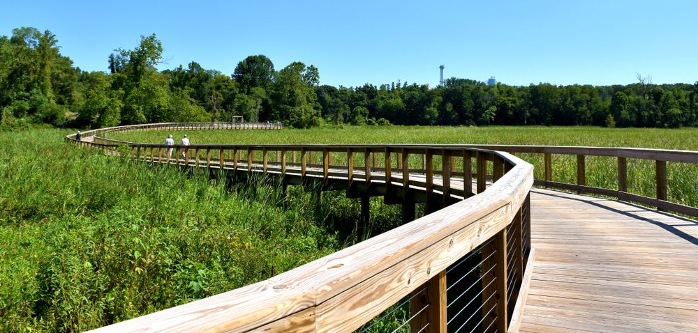 Famous walkway at the Potomac Heritage National Scenic Trail Neabsco Creek Boardwalk