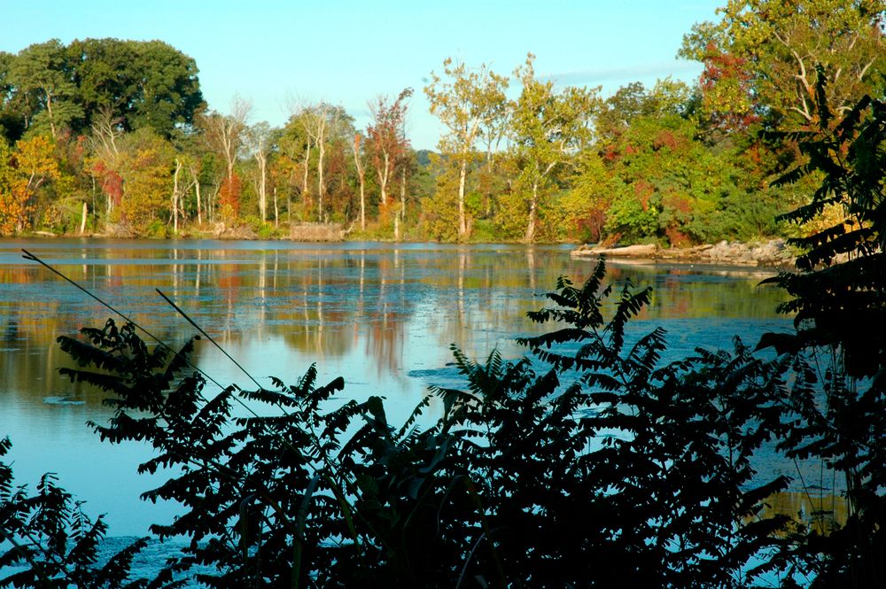 Inside the Occoquan Bay National Wildlife Refuge.