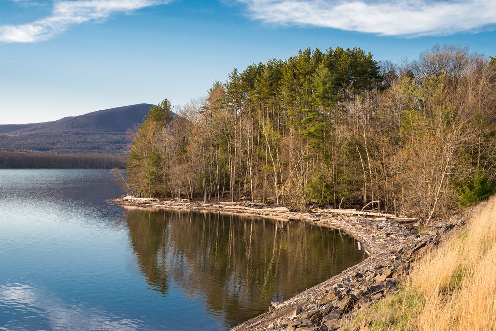 Trees surrounding Ashokan Reservoir