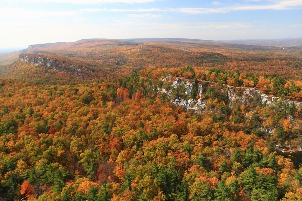 Fall-colored trees of Shawangunk Mountains