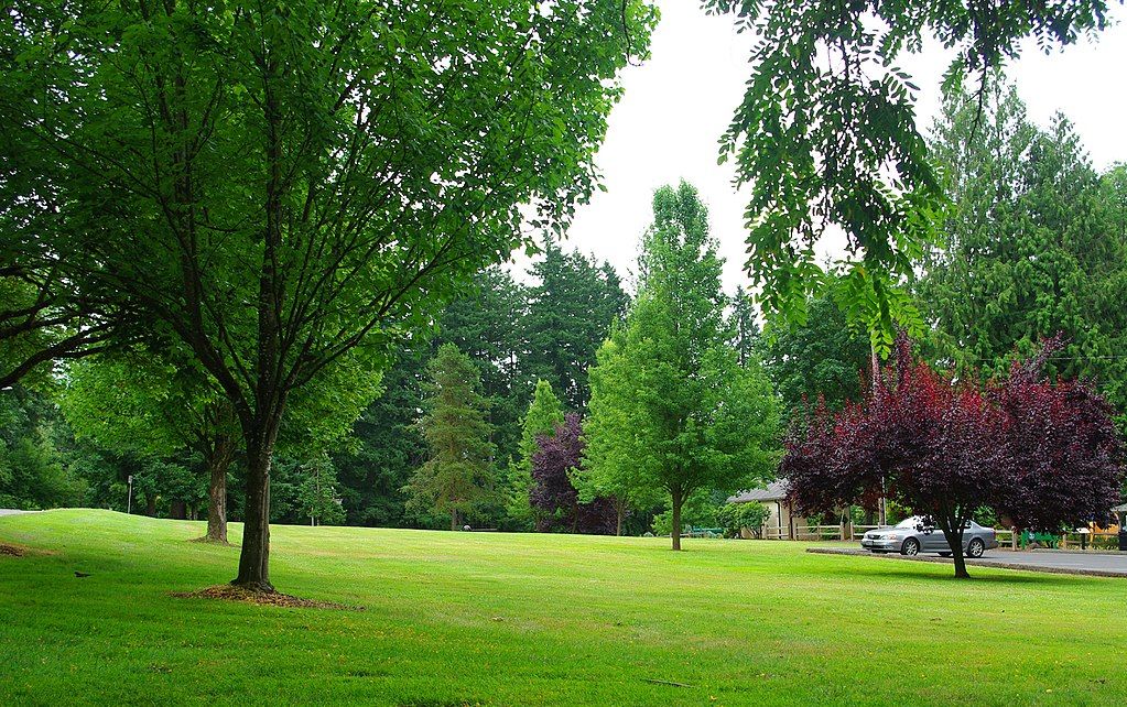 The grounds of Boones Ferry Park