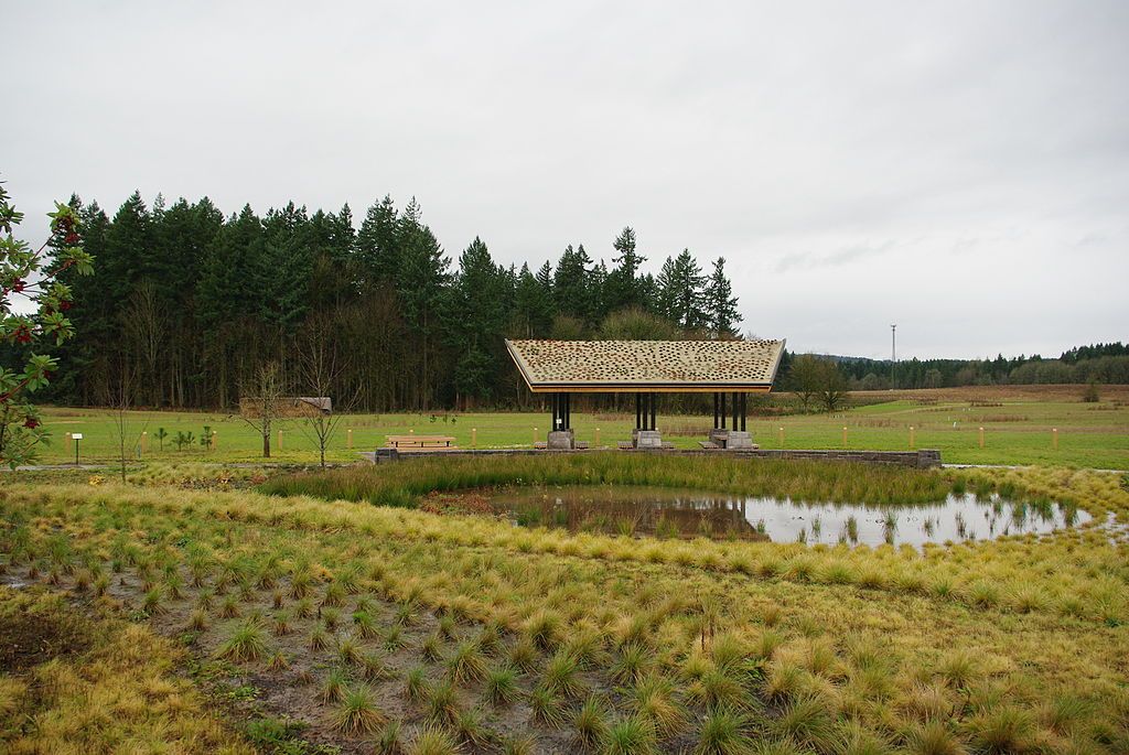 A pond at Graham Oaks Nature Park