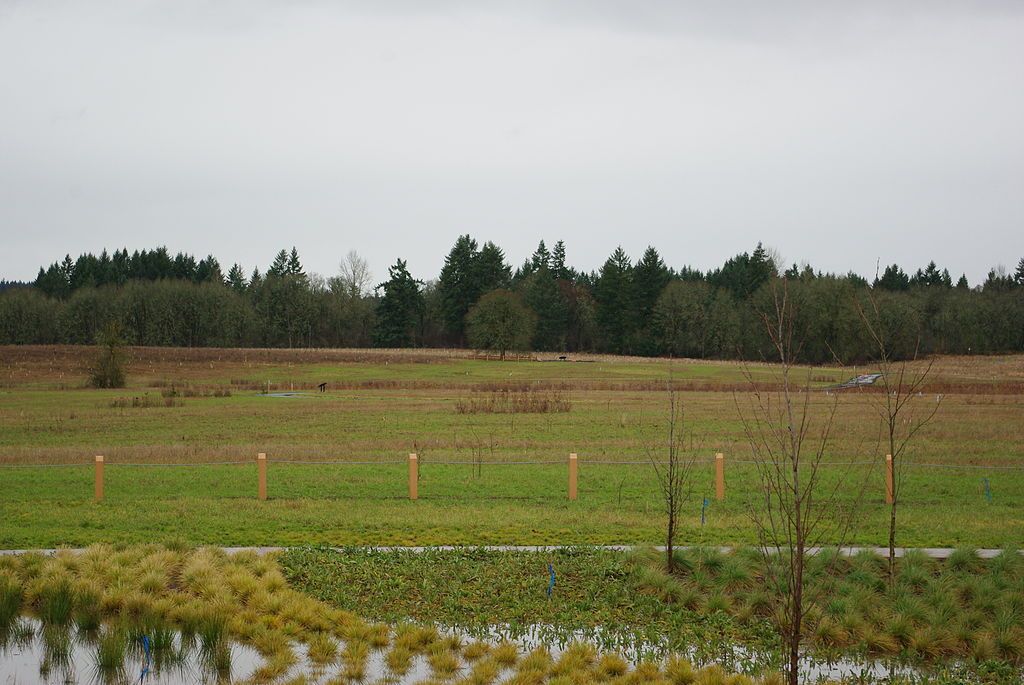 Landscape of Graham Oaks Nature Park