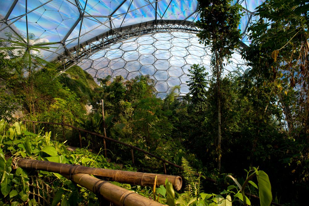 Inside View of Eden Project