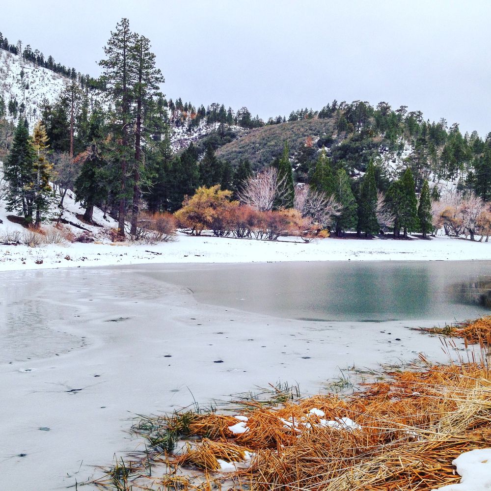 Winter view of Jackson Lake