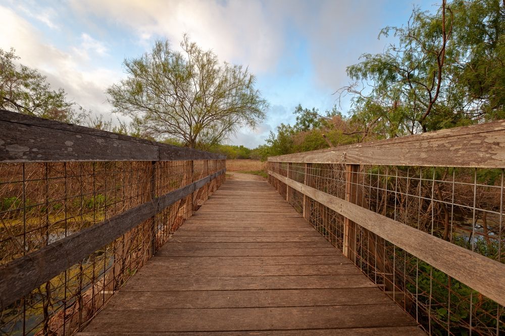 Wooden bridge at Estero Llano Grande State Park