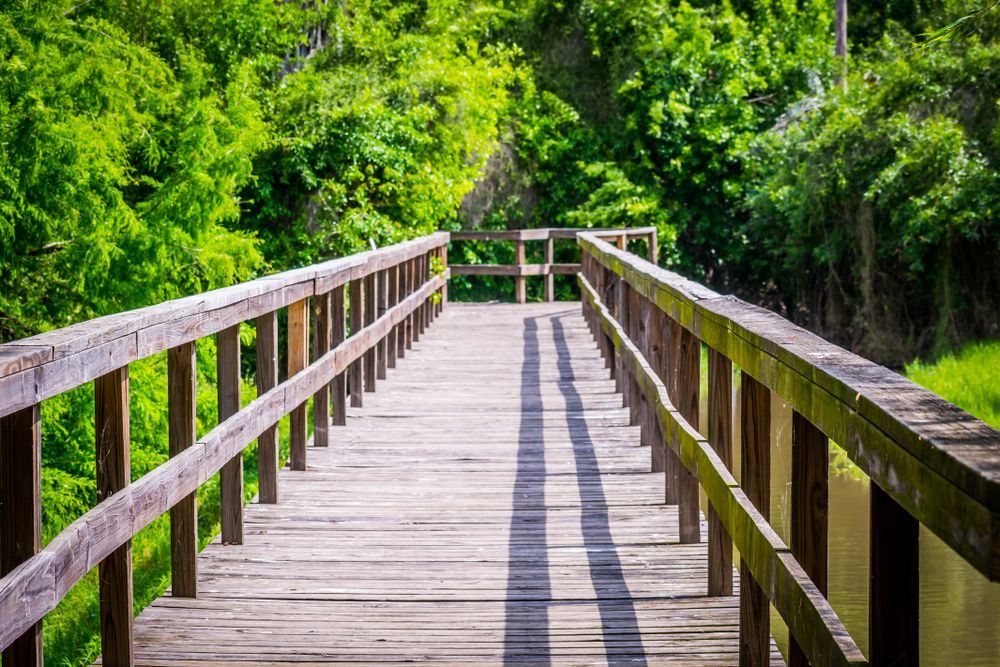 Boardwalk trail at Frontera Audubon Society