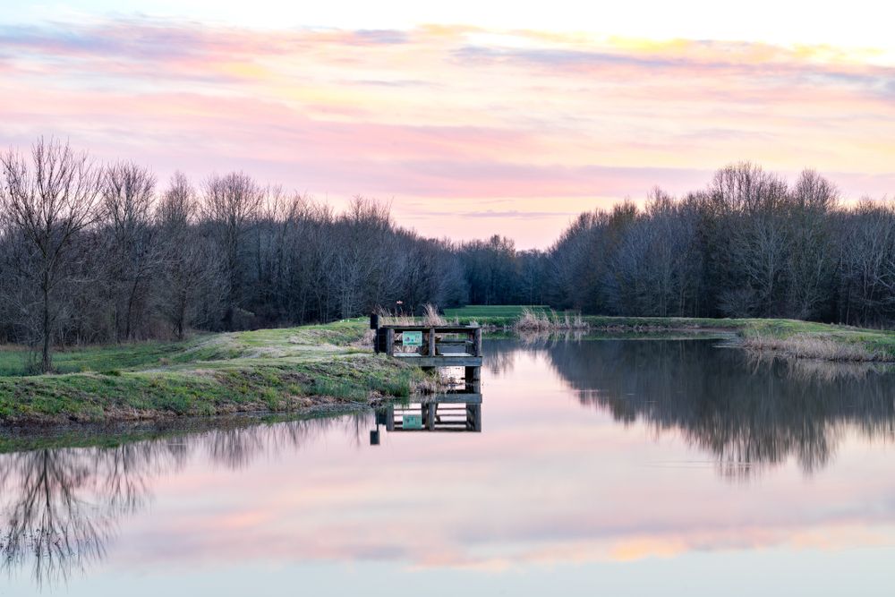 The waters of Mineola Nature Preserve